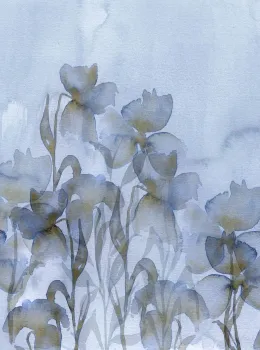 Project Z61019-3 Pale Blue Tones Watercolor Iris Flower Wallpaper Panel 15m²
