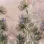 Project Z61022-1 Pale Lilac Pink Tones Watercolor Freesia Flower Wallpaper Panel 15m²