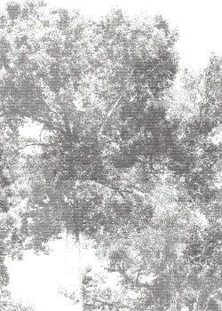 Project Z61039-1 Pixel Trees Modernes Tapetenpaneel Abstraktes Baum-Silhouetten Muster Hoher Kontrast Weiß/Grau 15m²
