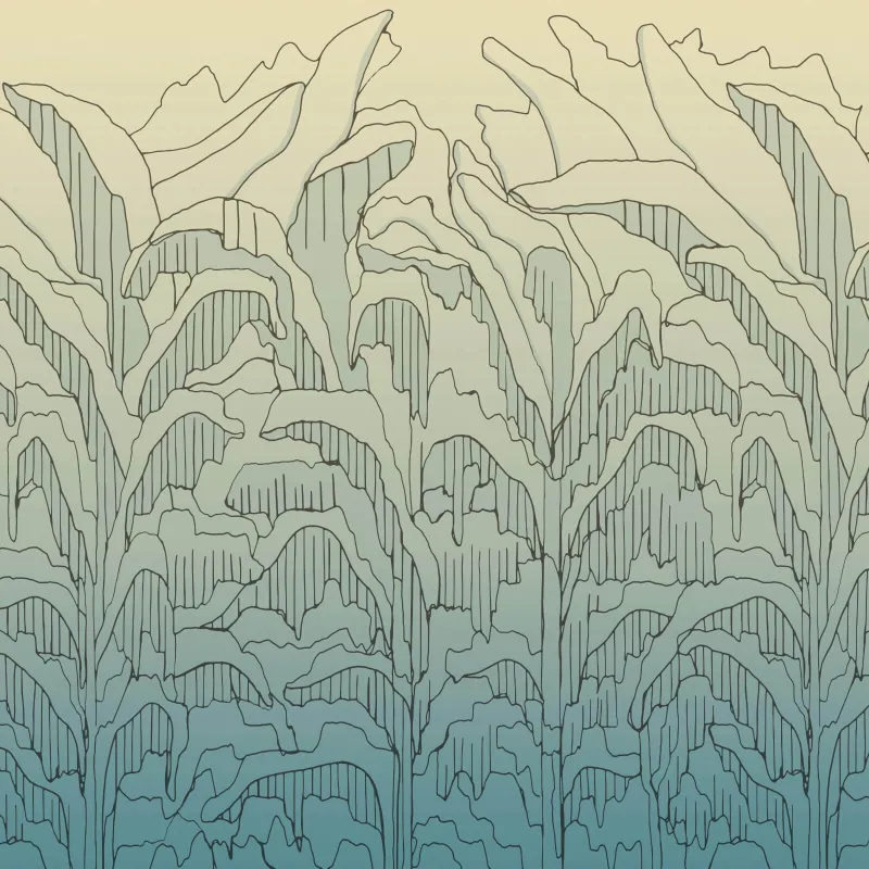 Panneau de papier peint moderne Z61042-3, avec des contours abstraits de feuilles de bananier sur un fond dégradé bleu mer et beige.