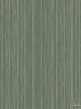 Architexture 2 Z57706 Papier Peint Texture Bois Gris Vert Vertical