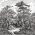 Elie Saab Z34968, Tapetenpaneel Monochrome Waldlandschaft