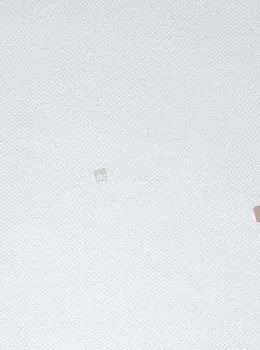 Murella 100 Z16721, Papier Peint Luxueux Italien Beige à Effet Lin et Tissu