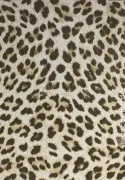 Philipp Plein 2 Z81028 Leopardenmuster Strukturierte Luxustapete, 10m²