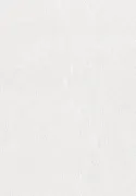 Satin Flowers Z66806 Light Grey Satin Plain Wallpaper