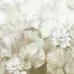 Satin Flowers Z66875 Beige Lotus Wandpaneele