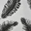 Savana Z77527 Papier Peint Motif Plume Noire sur Fond Blanc 5m²