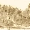 Savana Z77562 Panneau/Poster Mural Forêt Beige Cipressi