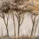 Savana Z77560 Versiliana Tree Design Wall Panel