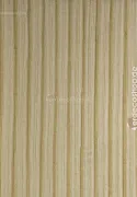 Trussardi 8 Z30331, Papier Peint Bambou Beige Café, 7m²