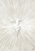 Trussardi 8 Z30356 Raggi Levriero Wall Panel and Photo Wallpaper, 6m²